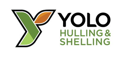 Yolo Logo New